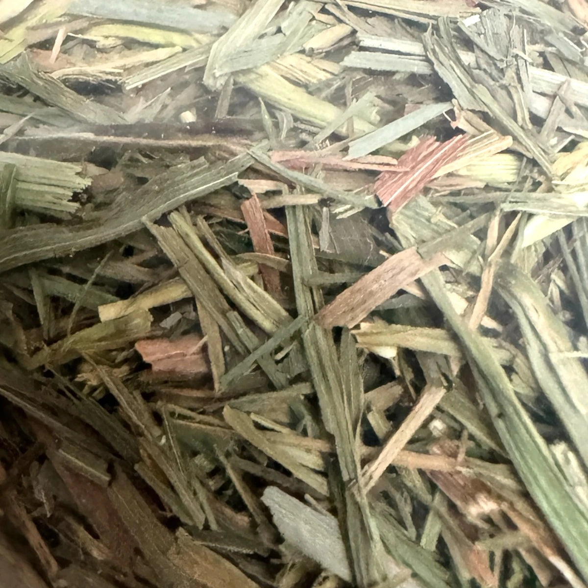 Timothy-Heu im Vorratssack