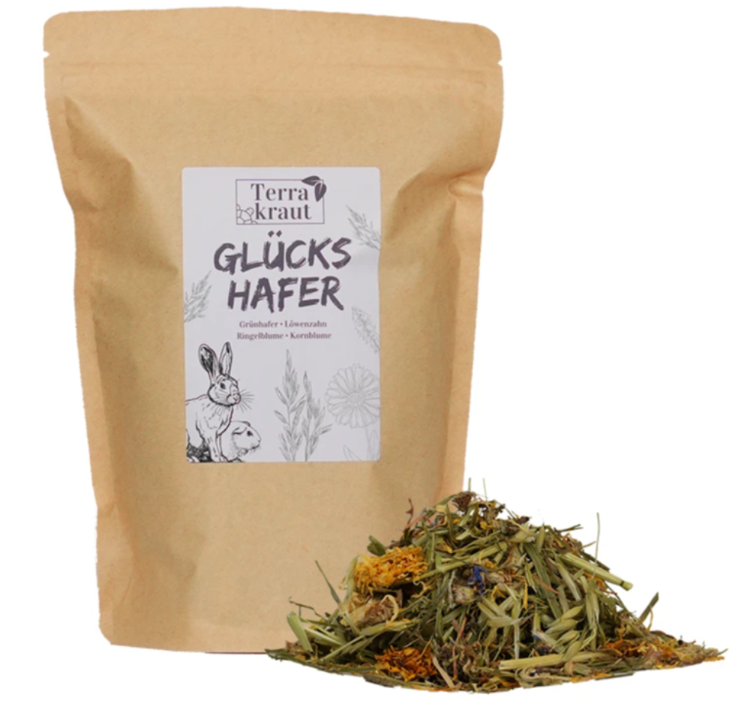 Terrakraut Glückshafer