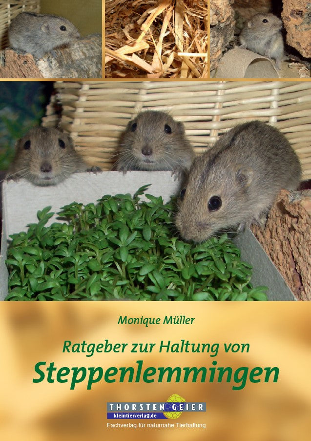 Ratgeber zur Haltung von Steppenlemmingen | Buch von Monique Müller