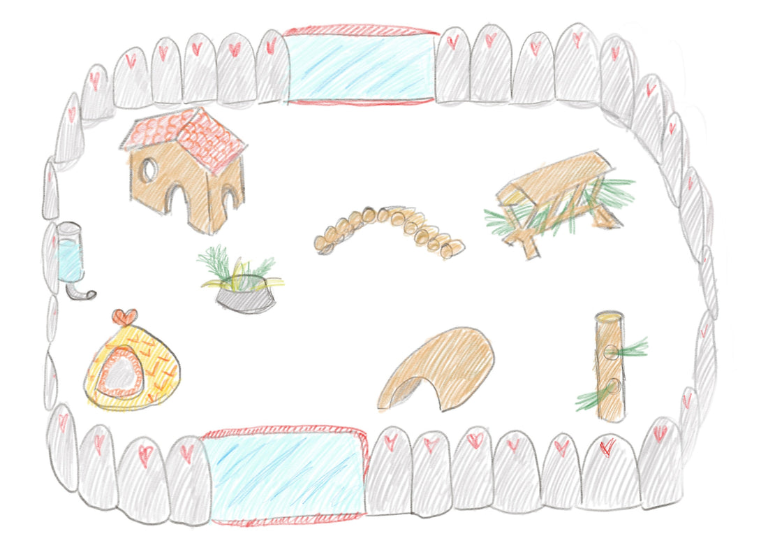 Meerschweinchengehege selbst bauen: Praktische Tipps und Anregungen