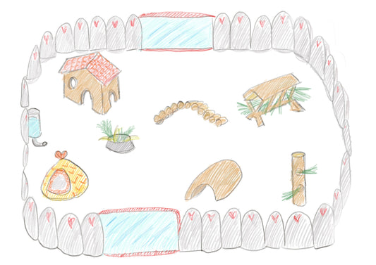 Meerschweinchengehege selbst bauen: Praktische Tipps und Anregungen