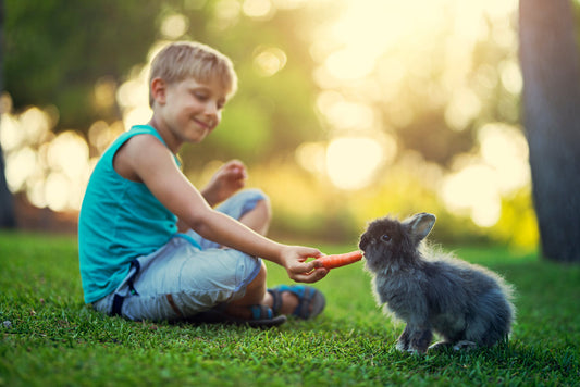 Nager für Kinder: Tipps für eine verantwortungsvolle Haltung