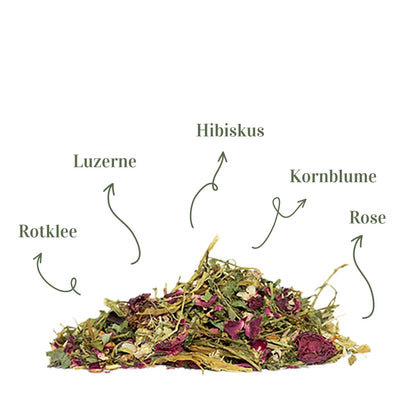 Terrakraut Florarot – 200 g