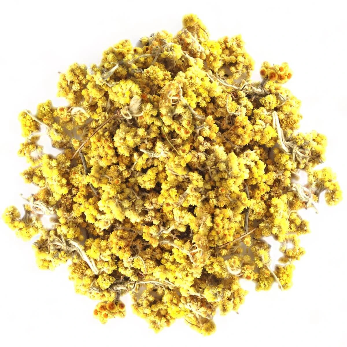 Getrocknete Sandstrohblumen