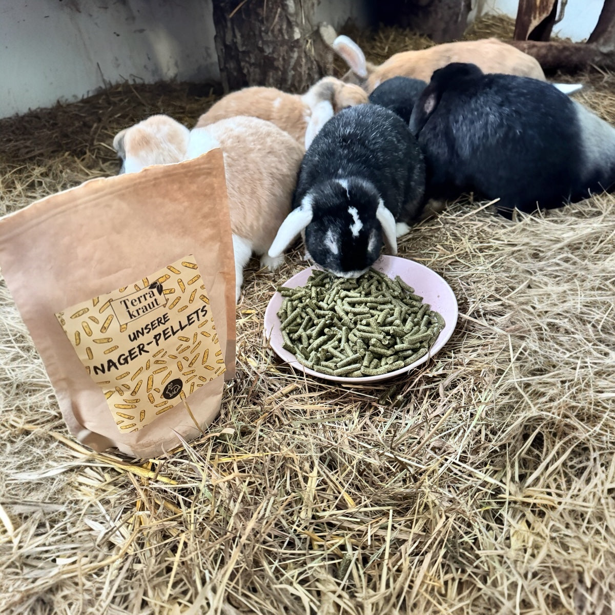 Terrakraut Nager-Pellets