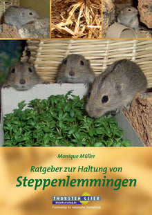 Ratgeber zur Haltung von Steppenlemmingen | Buch von Monique Müller