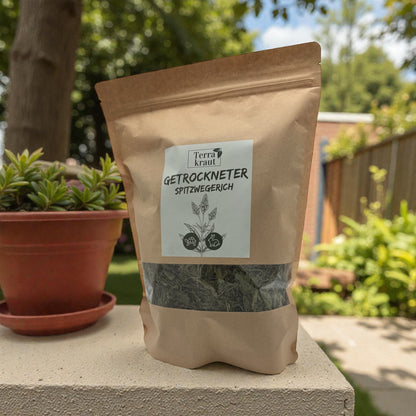 Terrakraut – Getrockneter Spitzwegerich
