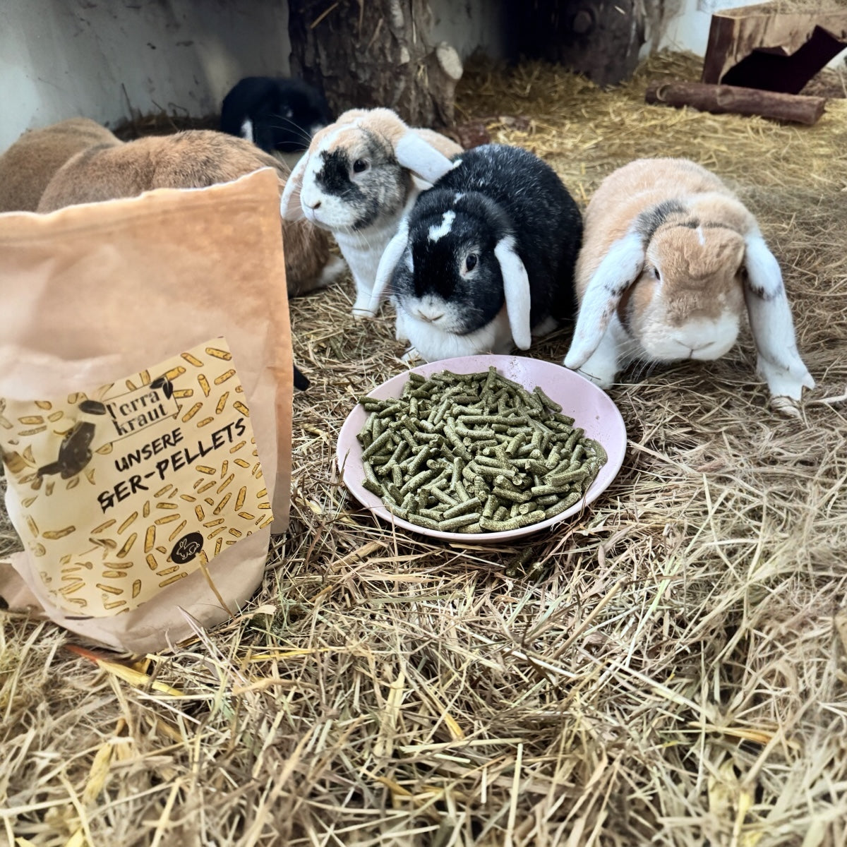 Terrakraut Nager-Pellets