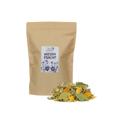 Terrakraut Wiesenpracht